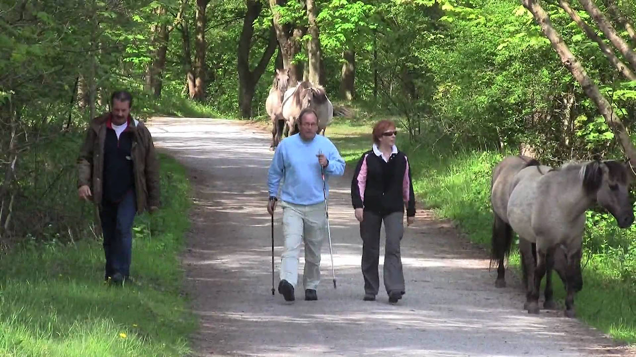 19e J. Jansen wandeltocht